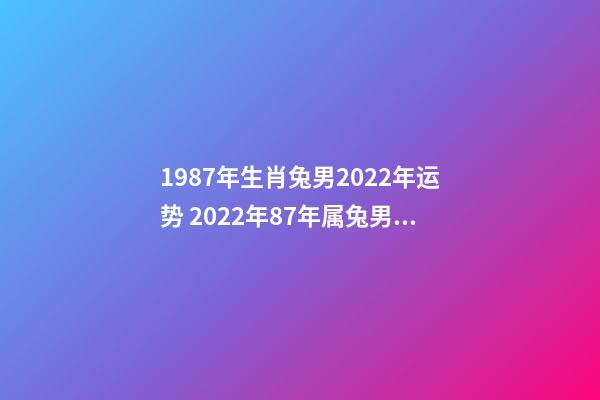 1987年生肖兔男2022年运势 2022年87年属兔男运势，87年兔男2022年运势及运程-第1张-观点-玄机派